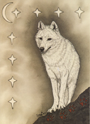 White Wolf Image